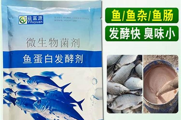 鱼蛋白自制配方比例