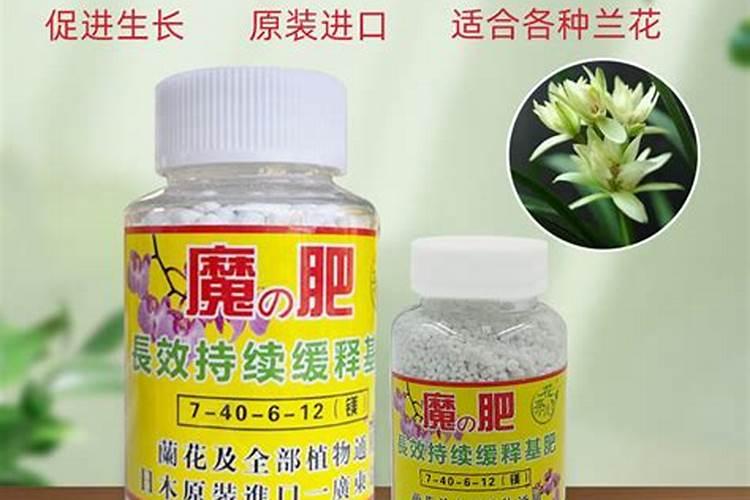 最好的兰花肥专用肥哪种最好