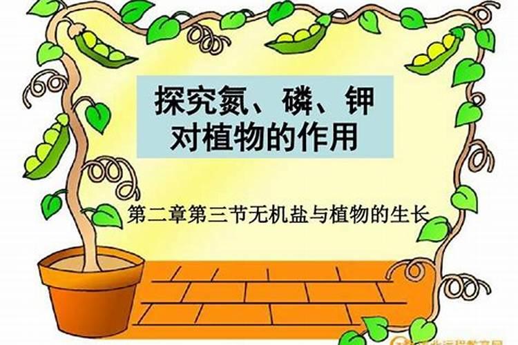 怎样自制氮磷钾肥,怎样施肥效果好