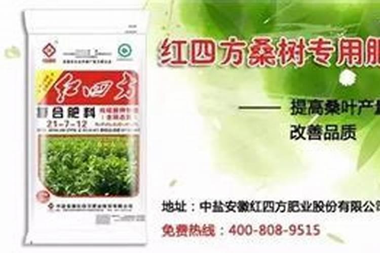 桑树用什么肥料好