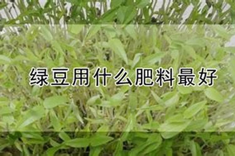 绿豆底肥放什么肥好(底肥施用方法)
