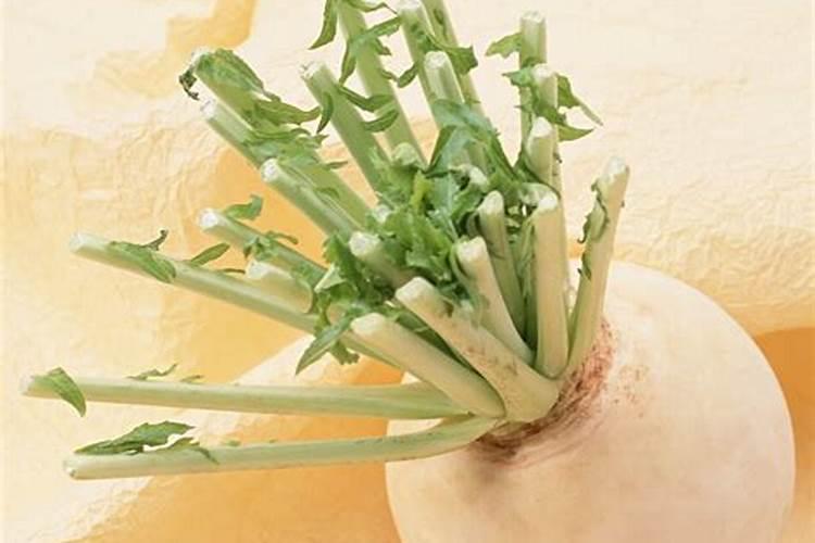 不寒凉的青菜有哪些？