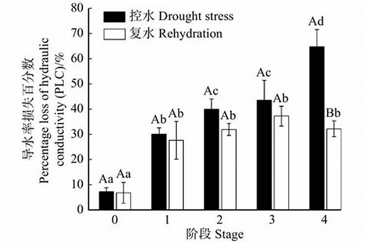 植物生理学中的复水是什么意思