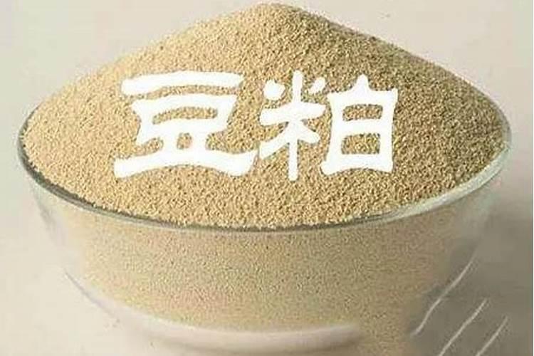 秋天如何给月季施豆粕肥料？