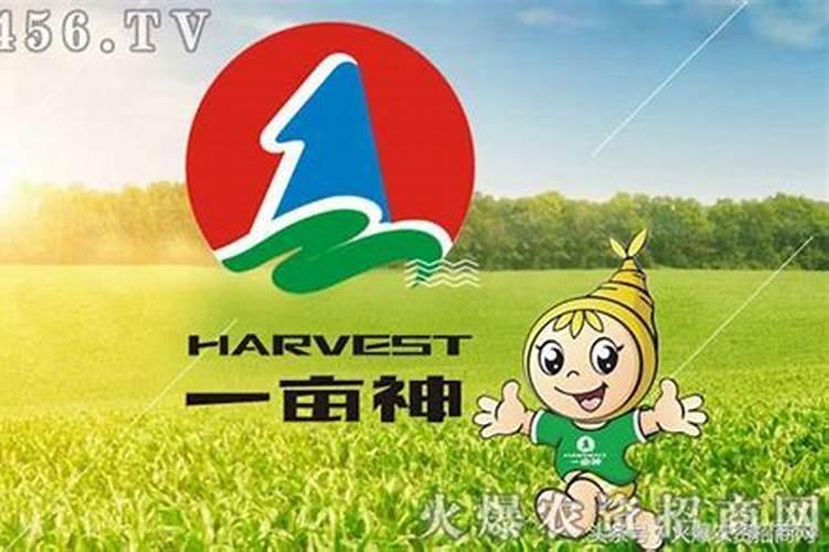 杜鹃花能不能施复合肥？