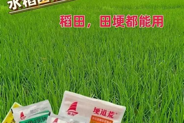 一亩田水稻用多少肥料？