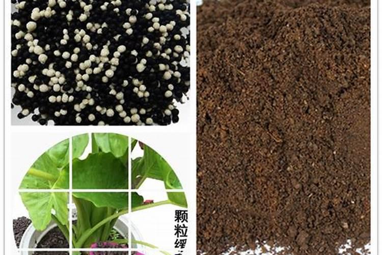 无机肥与有机肥,各有什么优缺点？请高手指点、、、