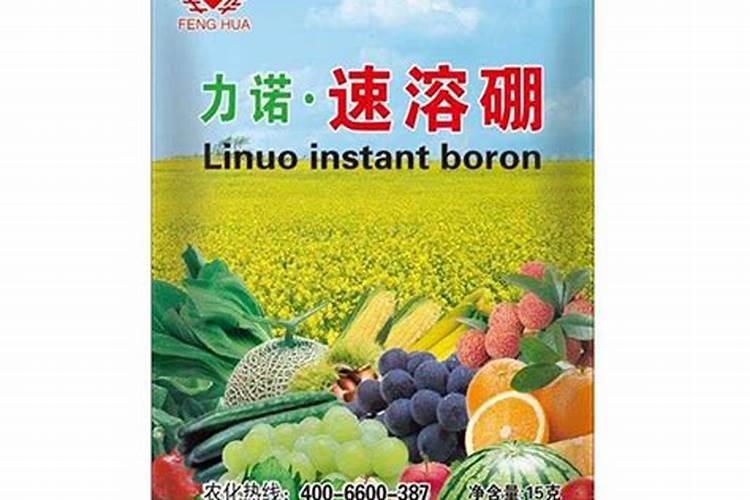 平安树施什么肥平安树怎么施肥