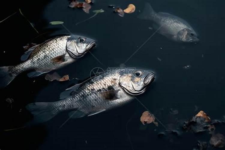 自制有机肥有哪些配方？