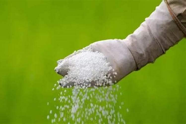 复合肥怎么使用正确要马上浇水