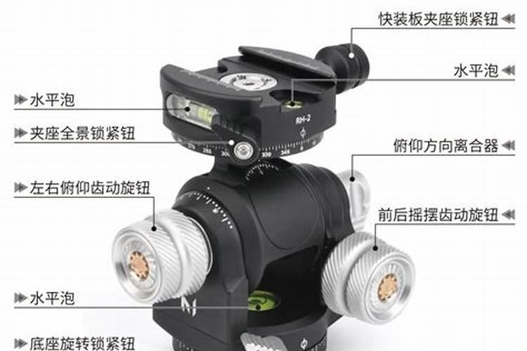 玉米什么时候打芸苔素