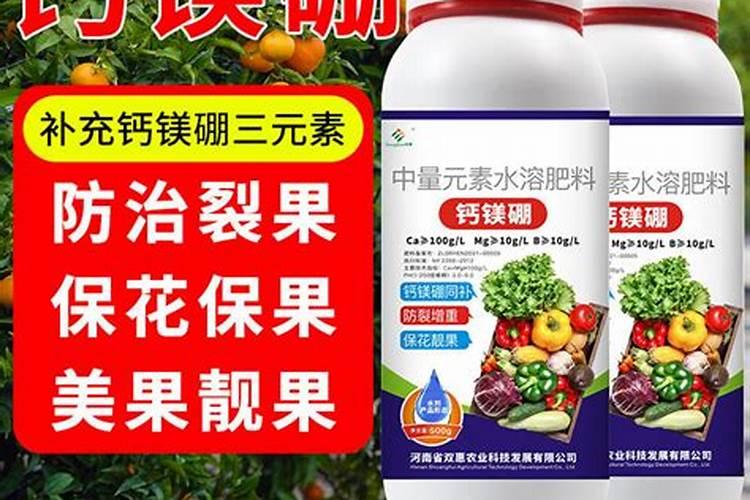糖醇钙镁朋铁锌在桔柑园什么时候用好