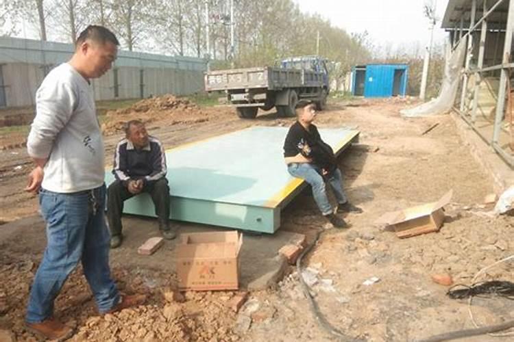 效果好的水溶肥是哪家