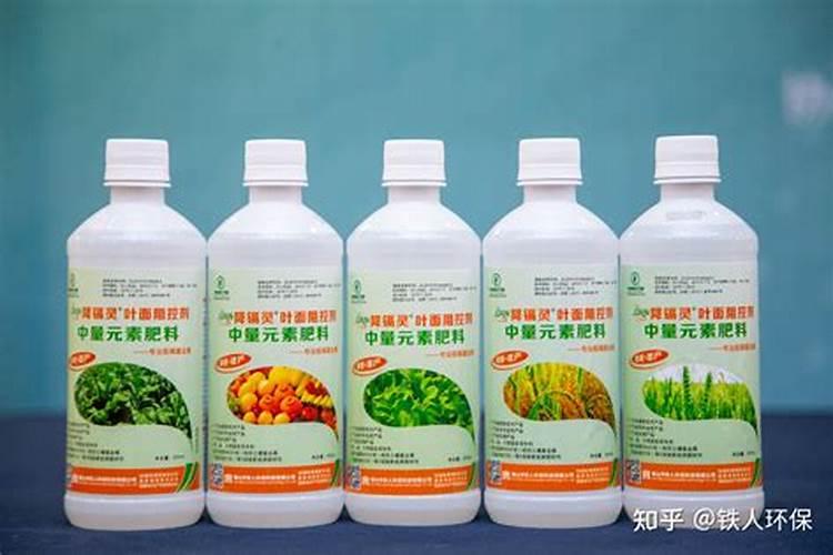 有机硅对蔬菜起什么作用？