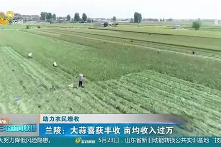 种大蒜一亩地氮肥磷肥钾肥总含量分别需用多少