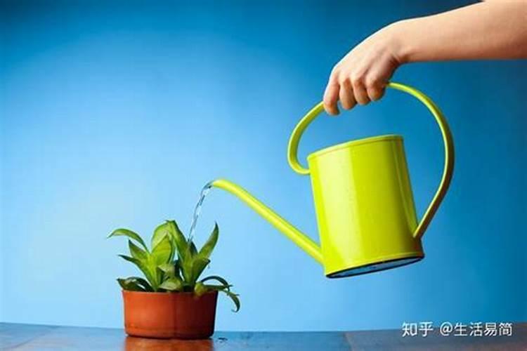 大量元素水溶肥对花卉绿植的用法