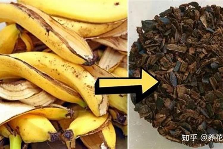 香蕉施用什么肥料效果好