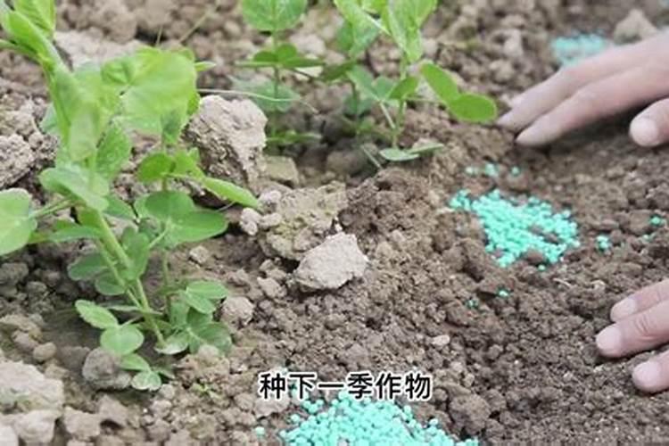 哪些水果、蔬菜中含钾多啊!