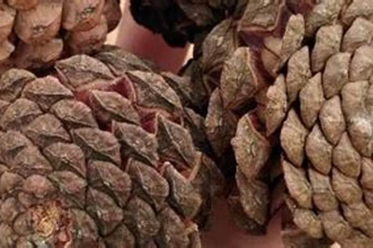 氮磷钾复合肥什么花都可以用吗,可以喷叶面吗