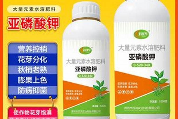 追肥要选永春水溶肥,选对水溶肥相当重要