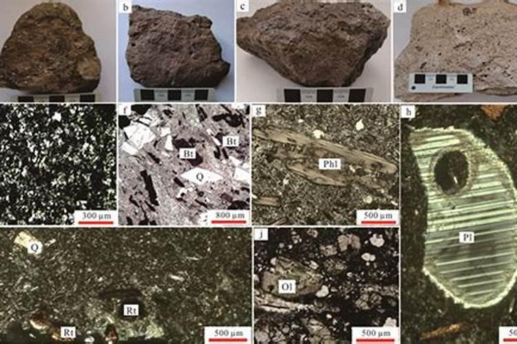 多肉植物施什么肥好
