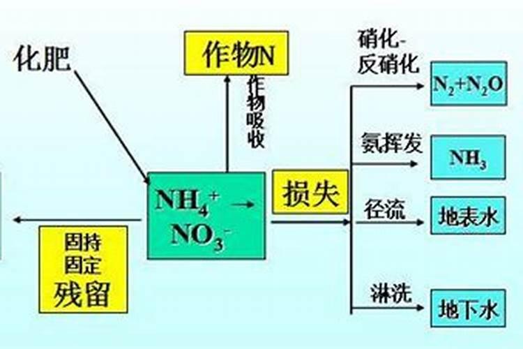 氮肥的使用方法和技巧