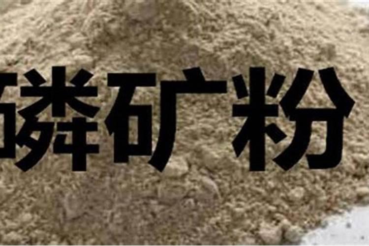 什么肥料磷肥含量高