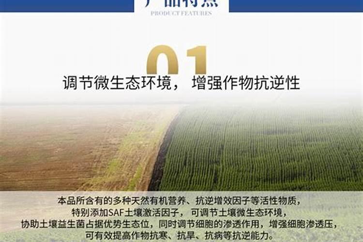 靓色增甜亲土一号叶肥