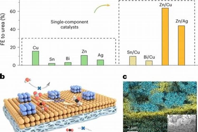 为什么测定氮肥要用硒或铜作催化剂