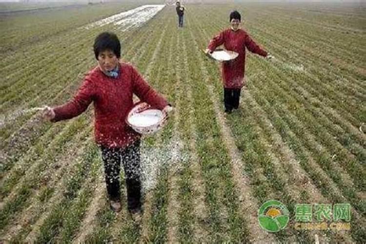 如果用尿素做叶肥的话,兑水的比例大概是多少？