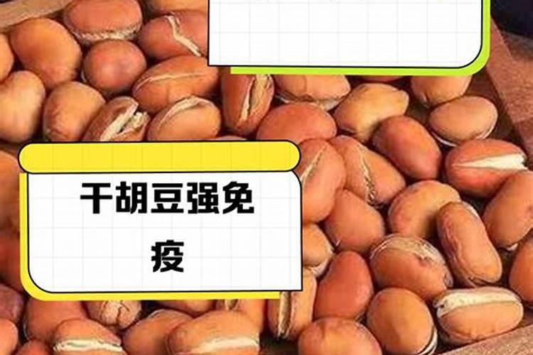 胡豆壳做底肥会烧根须吗
