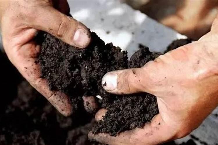 全国最大腐植酸生产厂家