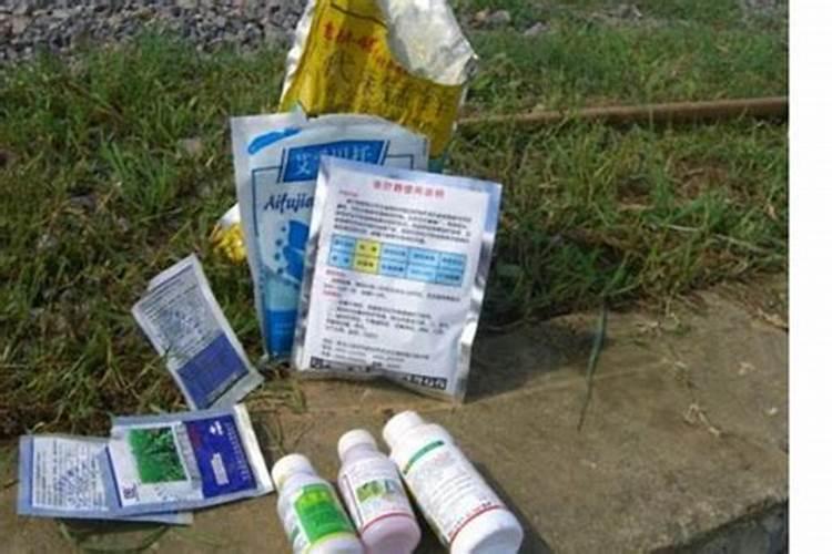 豆角蓟马害虫,用什药好？可否混合叶面肥或抑菌剂时喷施？谢