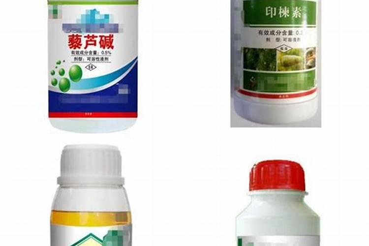 发财树叶子长的又细有卷曲不知道是怎么回事？求帮助