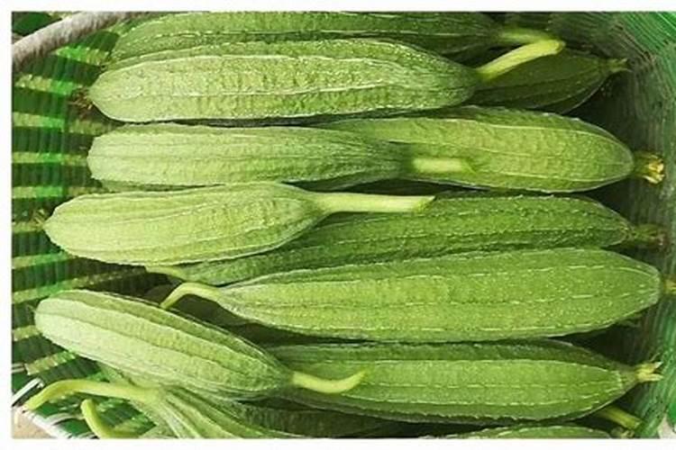 丝瓜苦了还能食用吗？