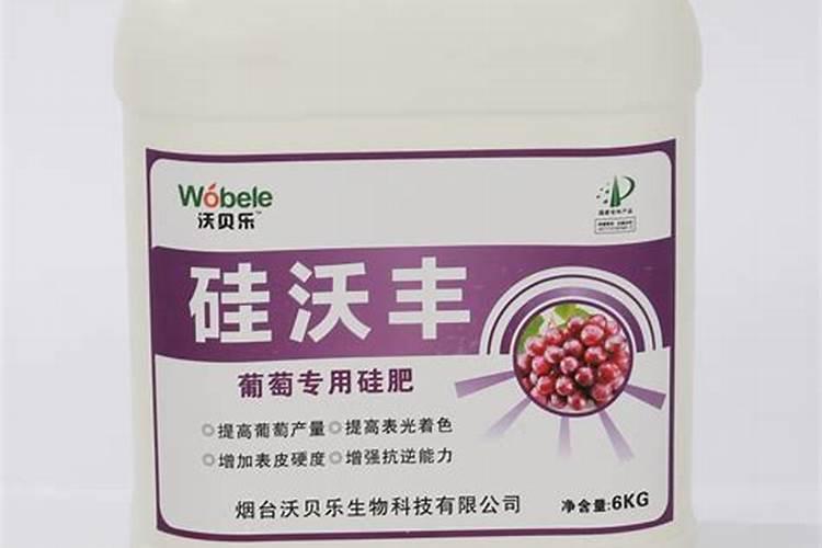 硅肥在大棚葡萄上什么时间用最好？