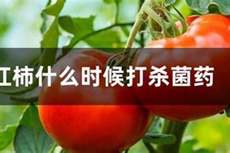 冲施肥什么时候效果好？
