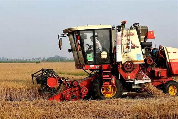 碧护叶面肥在小麦上的应用