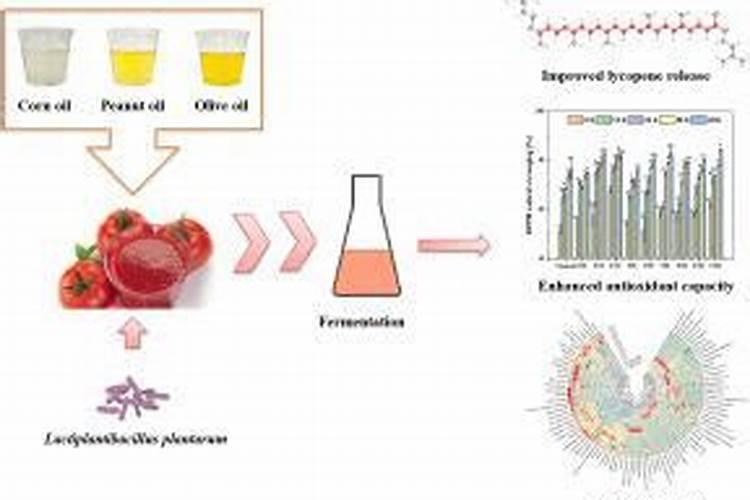 努力做最好的自己优美句子精选155句