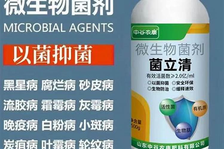 作物得了炭疽病喷杀菌剂加什么叶面肥好