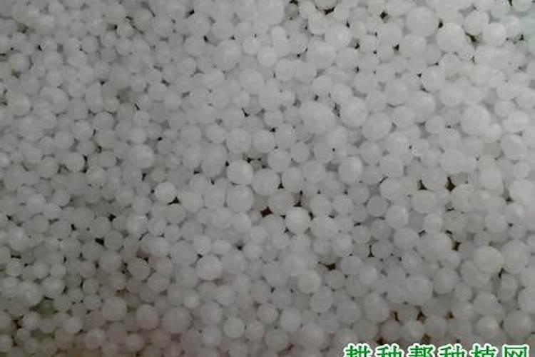 铵盐和铵态氮肥的区别