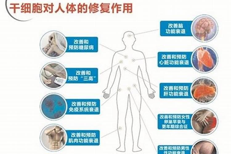 作物使用鱼蛋白肥会有什么效果？