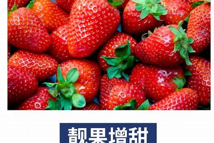 真柏叶子发黄发干不绿是什么原因 真柏叶子发黄发干不绿的原因