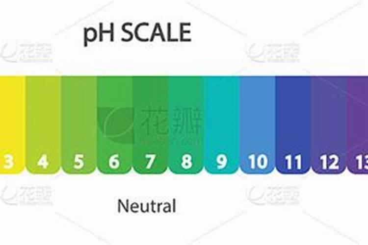 钾明矾和水溶肥能合用吗