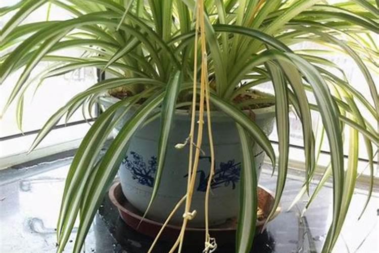 中耕松土的意义