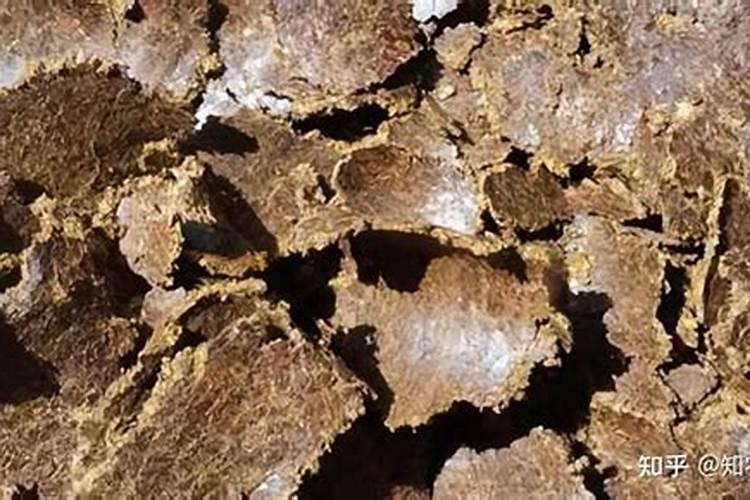 花生饼可以施多肉植物