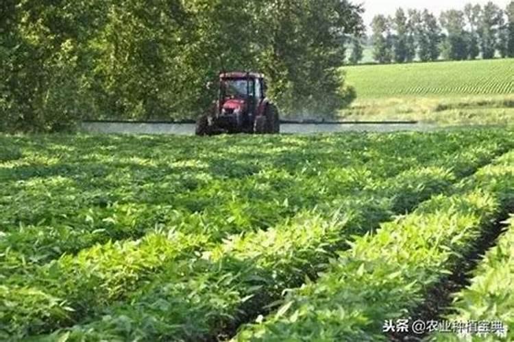 怎样自制氮肥 如何自制磷肥 怎么自制磷肥