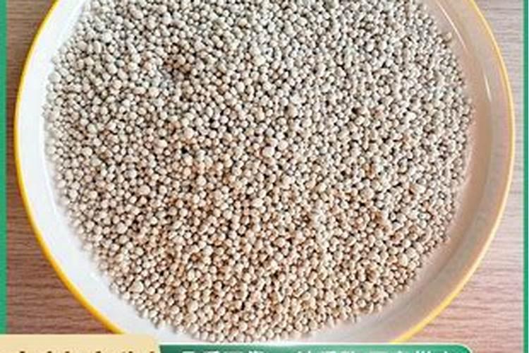 栀子花有了花苞应该如何施肥？有什么注意事项？