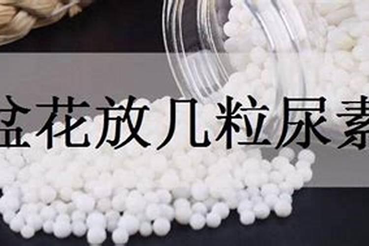 尿素在蔬菜什么时期用