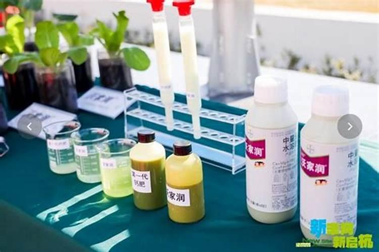 糖醇钙与螯合钙区别